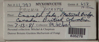 Image Associated With the Occurence